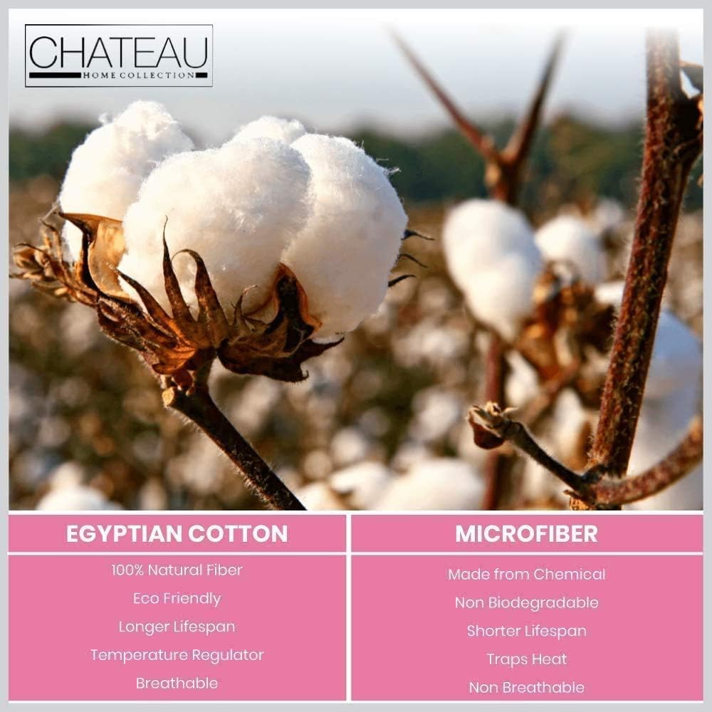 CHATEAU HOME COLLECTION 100% Egyptian Cotton Damask Stripe Queen Sheets, Machine Washable, No Pill & Shrinkage, Soft & Comfy All Season Bed Sheets- White