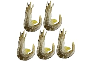 5-Piece Lifelike Shrimp Plush Toys