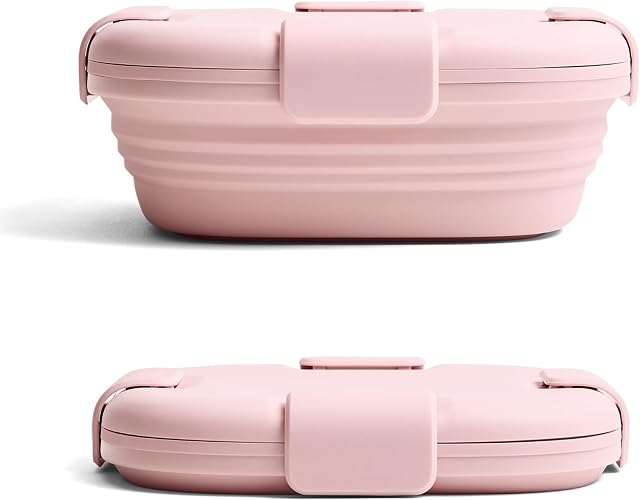 STOJO On The Go Collapsible Lunch Box - 24oz / 700ml - Reusable Travel Bento Boxes - Folding Silicone Storage Container - Nestable & Stackable - Dishwasher & Microwave Safe - Carnation