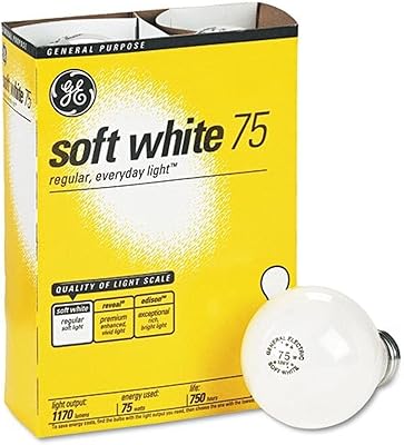 GE 41032 Incandescent Globe Soft White Bulbs, 75 Watts, 4/Pack