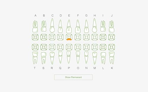 Dental Chart