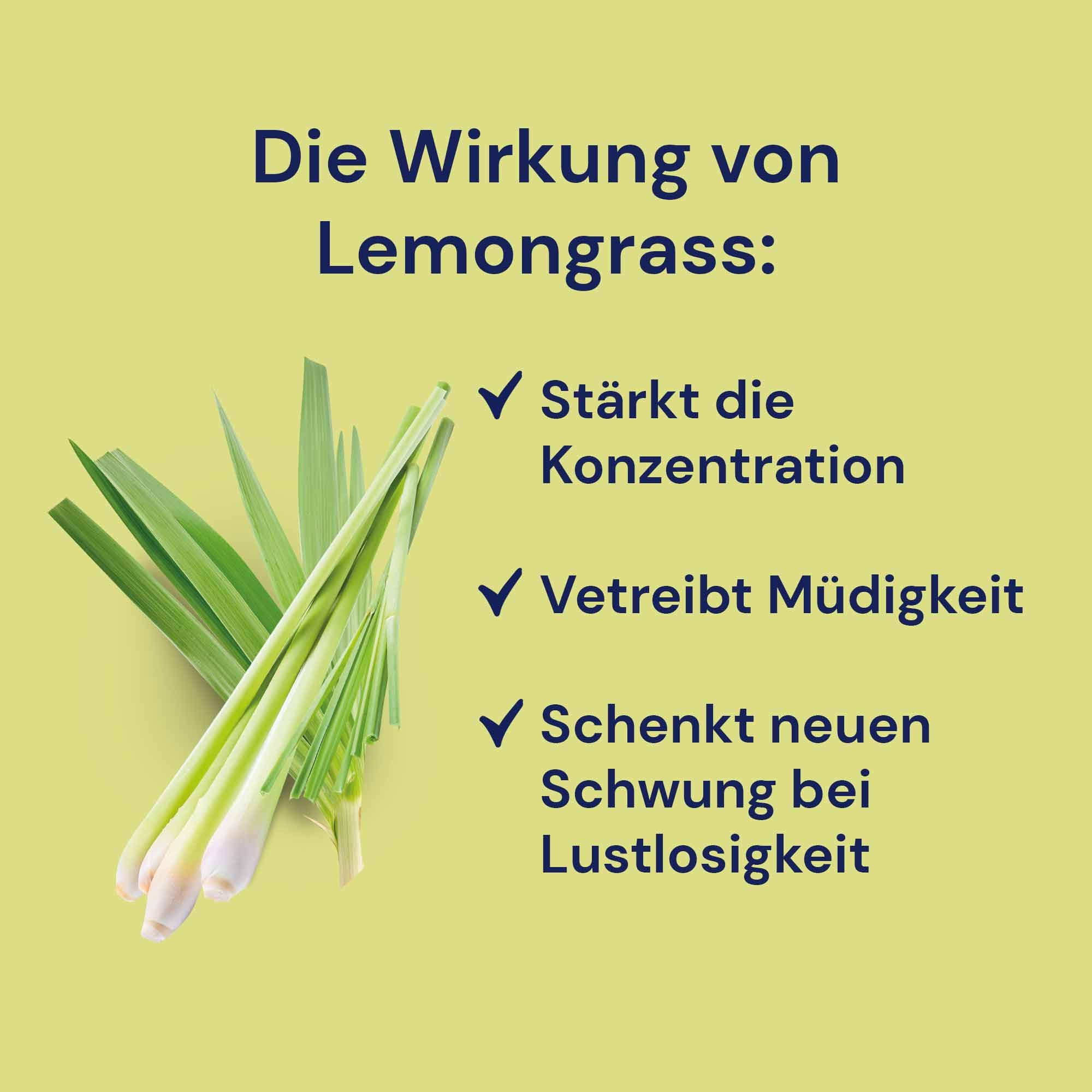 Spitzner Saunaaufguss - Lemongrass 1L