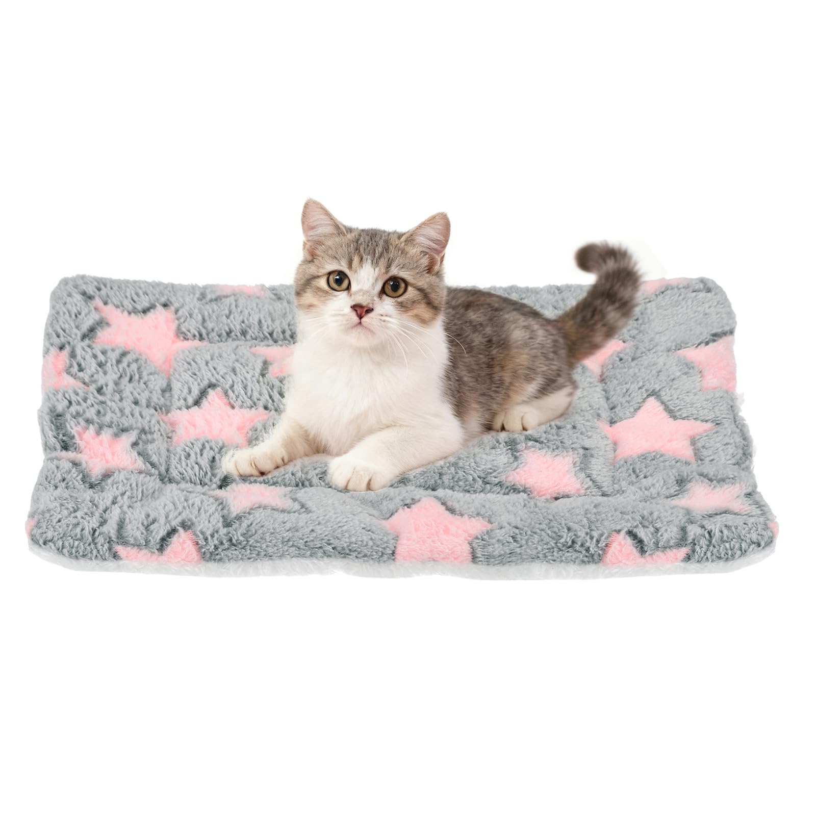 Tapis de lit pour chat doux pour canapé et transport de taille moyenne
