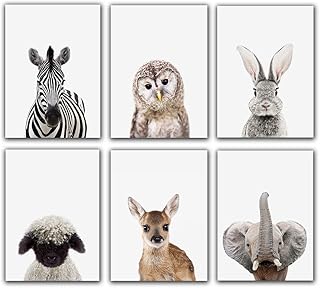 Safari Baby Animals Adorable Furry North American Portraits Nursery Decor Art - Set of 6 UNFRAMED Wall Prints 8