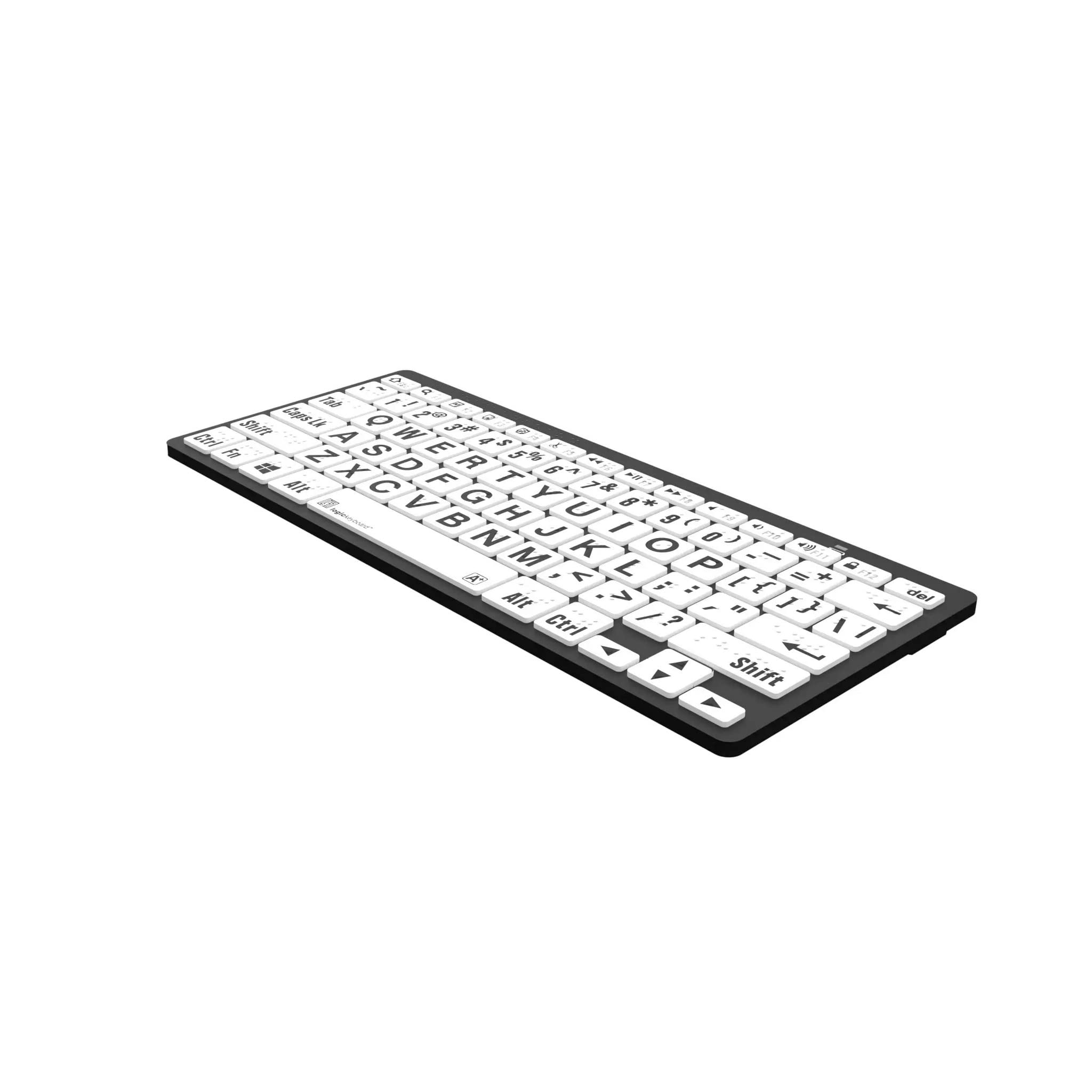Amazon.com: Logickeyboard with Braille 6 dot Alphabet & Large