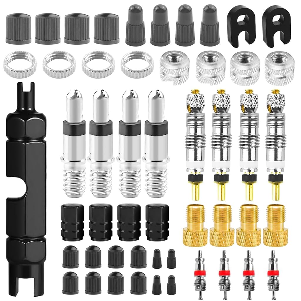 55pcs Presta Valve Core Set, Valve Core Remover Tool Kit Brass Presta Valve Adapter Replacement Presta Valve Core Set Tyre Valve Removal Tool With Valve Wrench for Tubeless Road MTB Bike Tires
