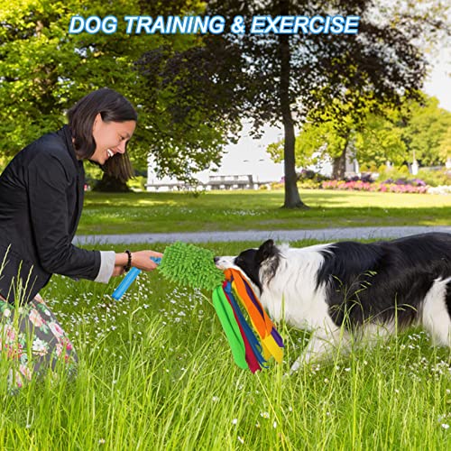 Tekcam Hundespielzeug Mop Bungee Tug Spielzeug mit Squeaky, Zerrspielzeug Hund mit Bungee Griff Chaser Spiele Pull Tugger Spielzeug Kauspielzeug füR Kleine Mittlere GroßE Hunde Training Agility