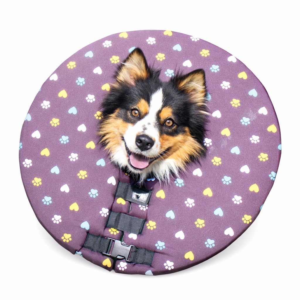 Premium Halskrause für Hunde – Weicher Hundetrichter als Alternative zum Plastikkragen, Komfortabler Schutzkragen/OP-Kragen für Hunde nach Operation (M)