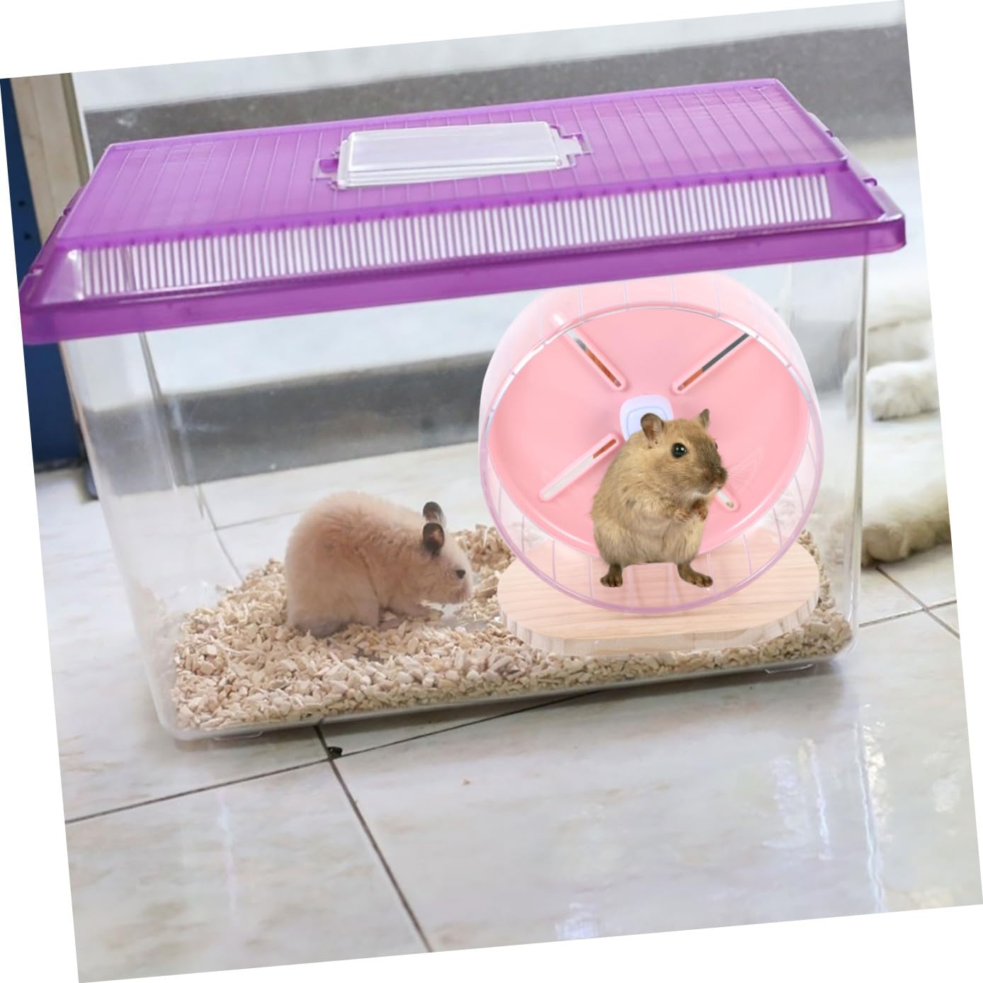 Beavorty Ruota Silenziosa per Criceti Adatta Topolini Gerbilli e Cincillà Pelosi Design Stabile e Compatto per Esercizi in Gabbia senza Rumore Notturno