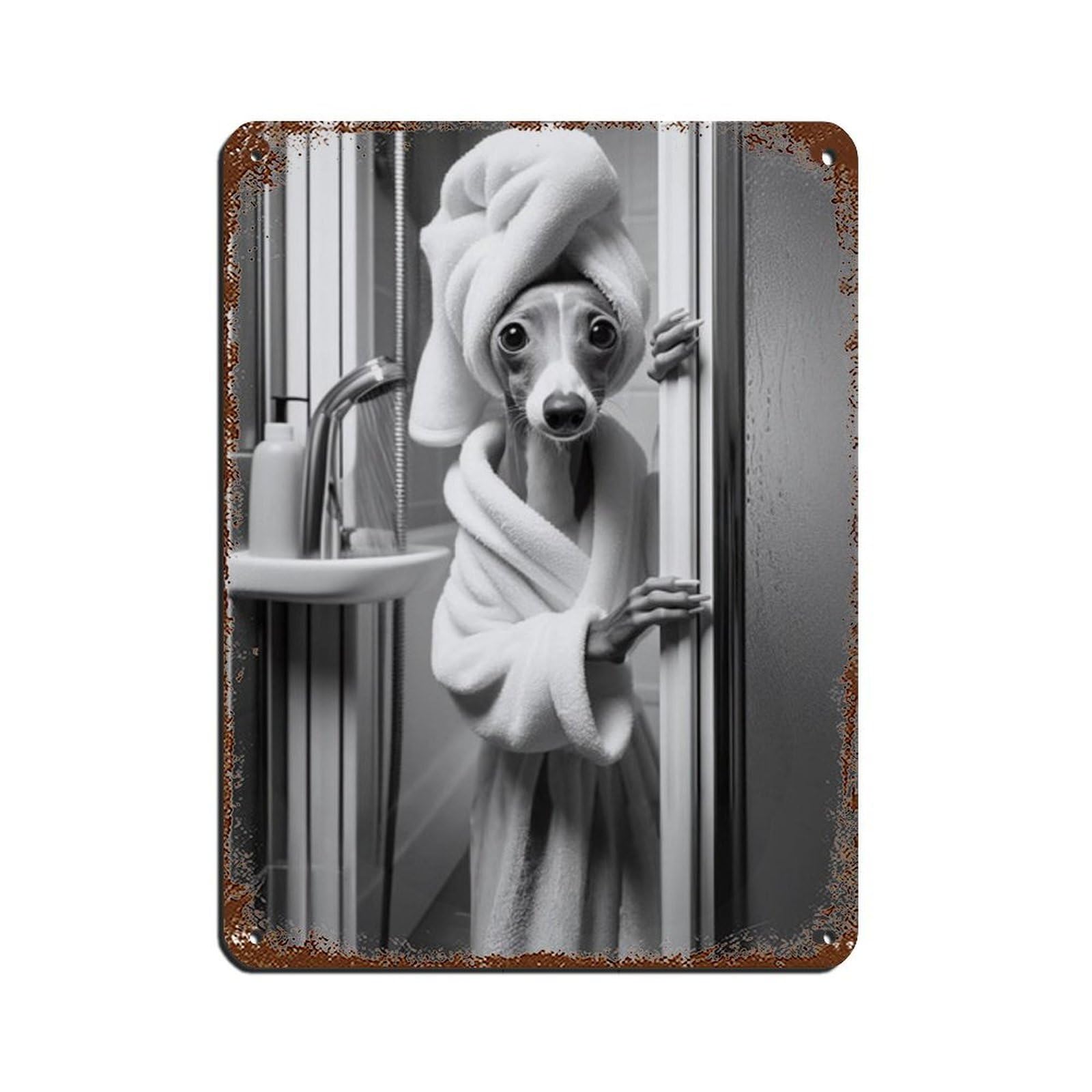 Lxwnze 30L X 40W Cm Italian Greyhound Bathroom Art Poster Tin Sign Vintage Metal Pub Club Cafe Bar Home Wall Art Decoration Poster Retro 12X16inch(30X40cm)