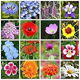10000+ Mix Wildflower Seeds Bulk Package 16 Varieties Perennial Bulk Packet Seeds for Planting, 90%