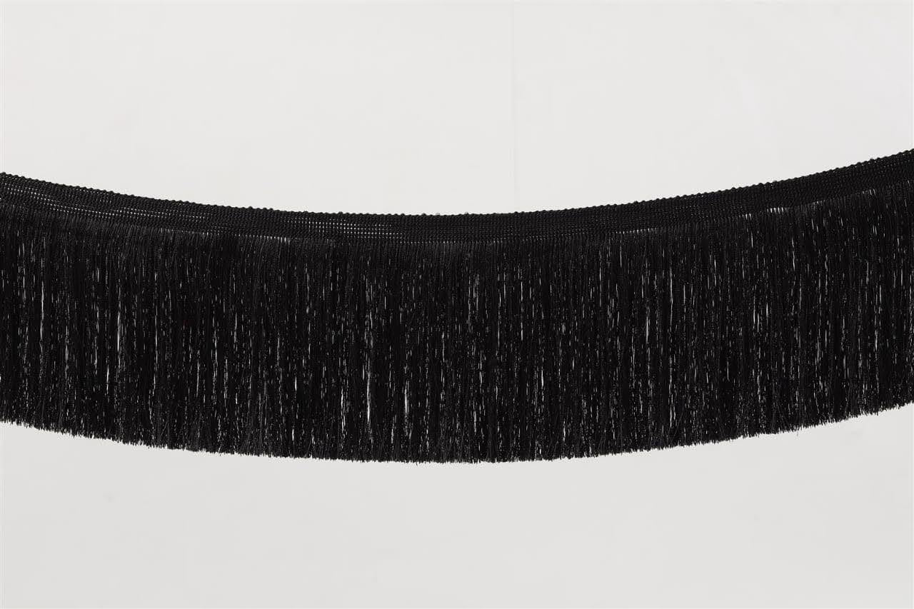 Anida Fringe Trim Lace Polyerter Fibre Tassel 6Inch Wide 9 Meter Packing Long for Clothes Accessories Latin Wedding Dress DIY Lamp Shade Decoration (Black) 2