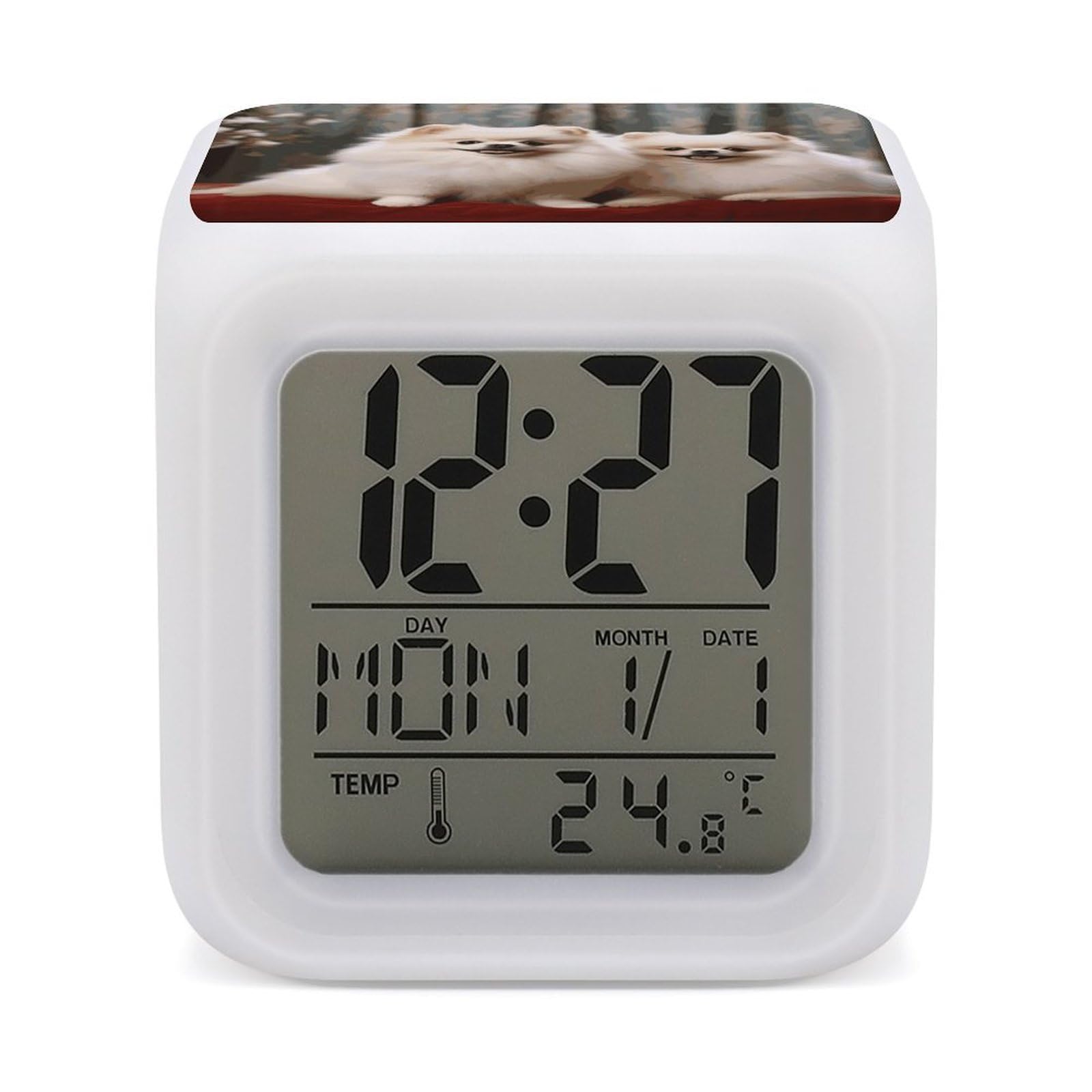 VstaDank Short-haired Pomeranian Dog Alarm Clocks with 7 Color Changing Night Light Exquisite Bedroom Digital Clocks with LED Temperature Display Desk Clock Ok to Wake Clocks for Heavy Sleeper