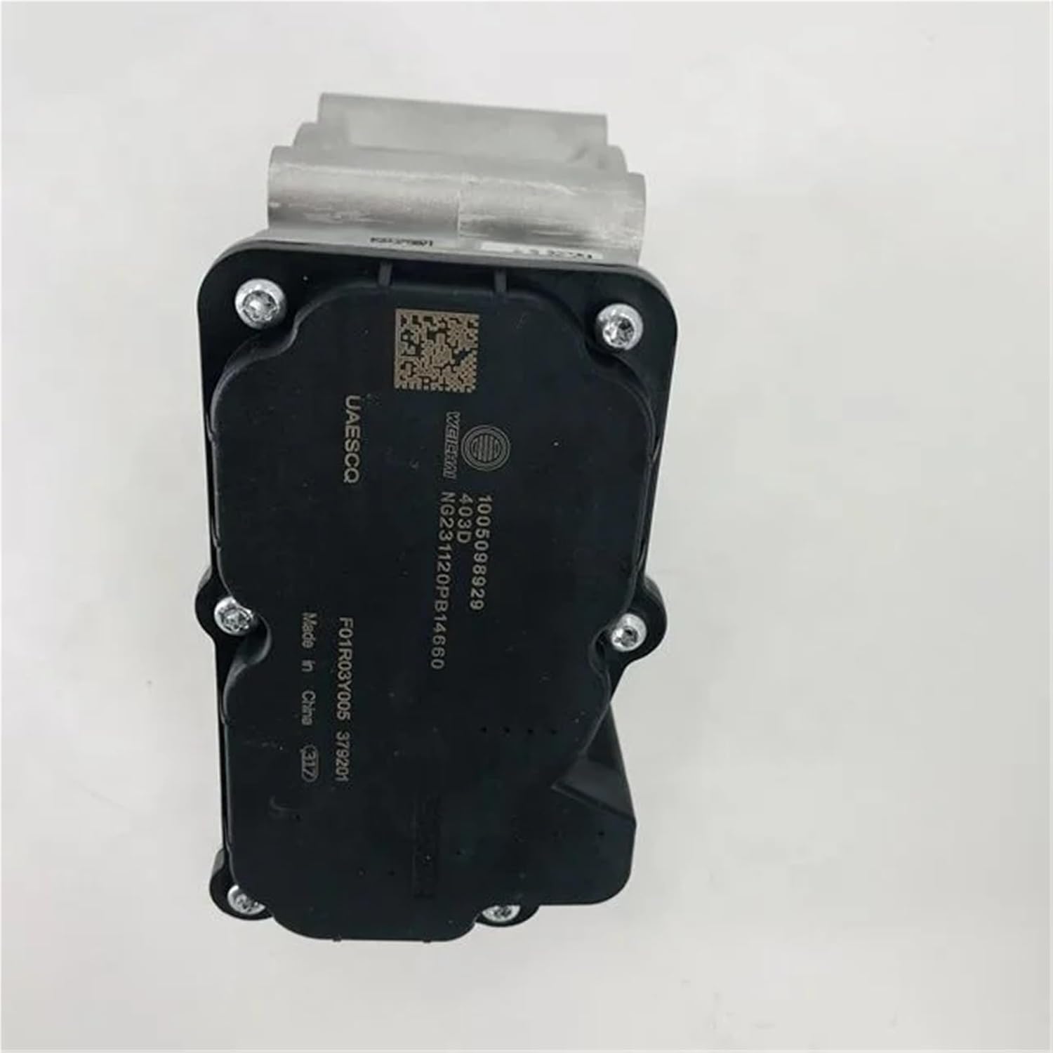 Original Electronic Throttle Valves 1005098929 For Gas Engine