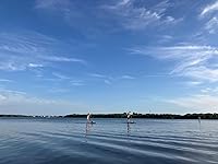 Review Image by Kindle Customer