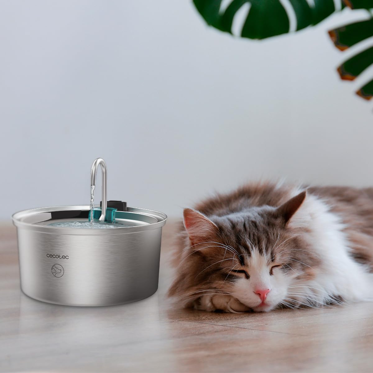 Cecotec Fuente para Gatos Automática Mascotas Pumba 3200 Refresh INOX. Capacidad de 3,2L, Acero Inoxidable, Filtro Alto Rendimiento, Silenciosa, Diseño de Cascada, IPX4, Fácil Limpieza
