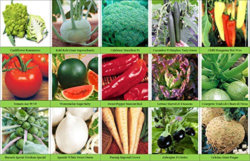 Viridis Hortus - 15 Packs of Vegetable Seeds - Cauliflower, Kohl Rabi, Cucumber, Aubergine etc