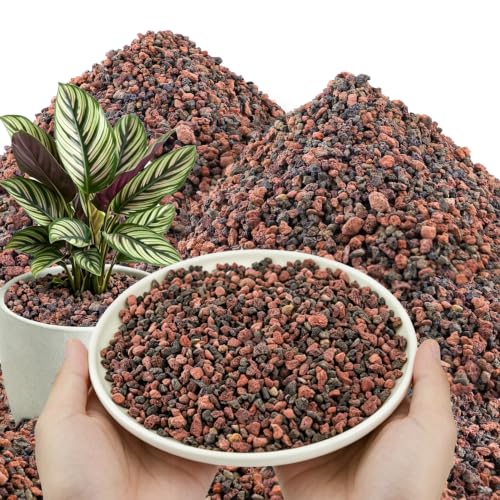 Image of CJGQ 45lb Mix Lava Rocks for Plants - Horticultural Volcanic Rock Gravel for Landscaping