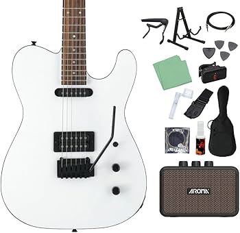 FERNANDES TEJ ※説明文お読みください Amazon | FERNANDES TEJ-STD SH SW エレキギター初心者14点セット