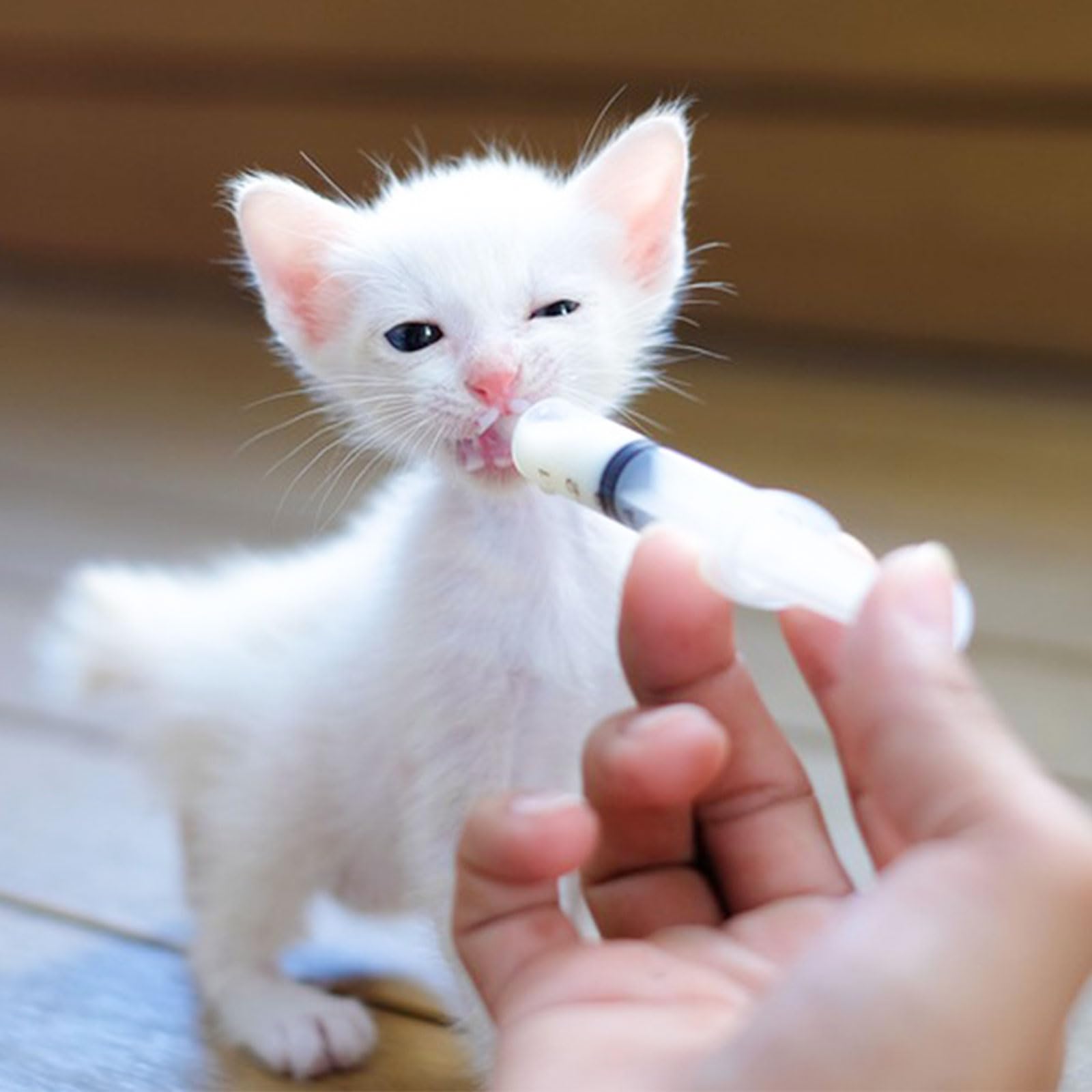 Spruzzatore di alimentazione per uccelli, 1 pezzo, con 20 tubi, sterile per animali domestici, per piccoli animali, gattini, cuccioli, Scientific Industrial Labs (B)