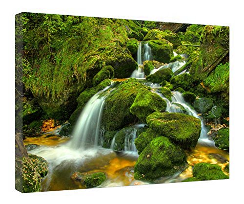 Cuadro lienzo de musgo y agua decorativo para pared con marco listo para colgar de 40.5x50.8cm