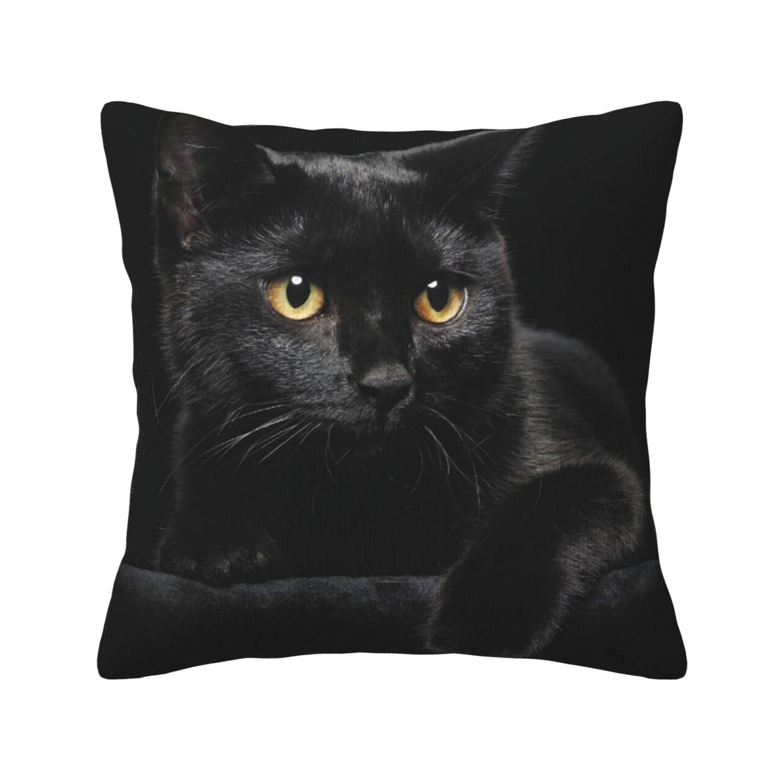 Decorative Throw Pillow,Cat Pattern Black Cat Cushion 16"x16", Luxury Throw Pillow for Couch Sofa Bed