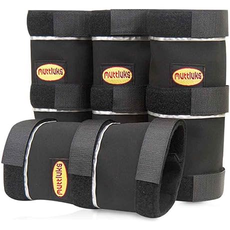 Muddy Mutts Dog Pants: Pawtect Your Pooch from Harsh Winter Conditions