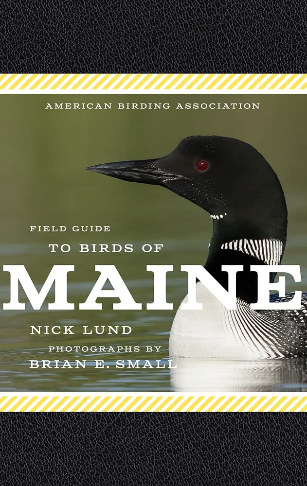 American Birding Association Field Guide to Birds of Maine (American Birding Association State Field)