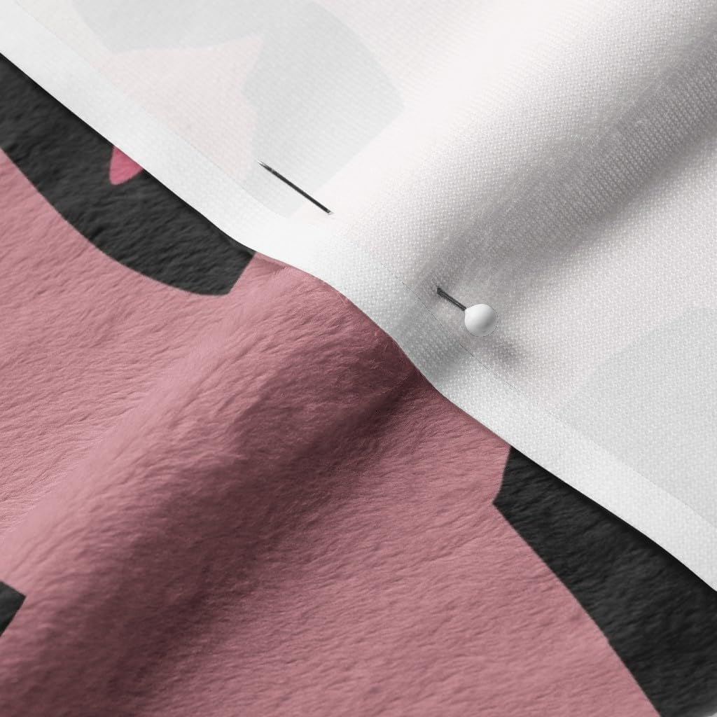 Spoonflower Fabric - Ballerina Black Background Ballet Dance Dancer Girl Costume Sport Printed on Minky Fabric by The Yard - Sewing Baby Blankets Quilt Backing Plush