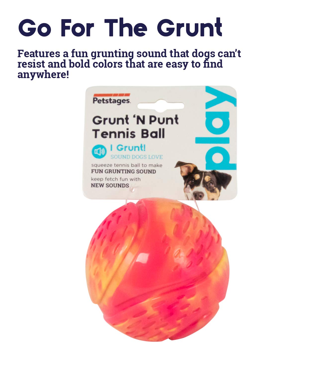 Why Is My Puppy Making Grunting Noises