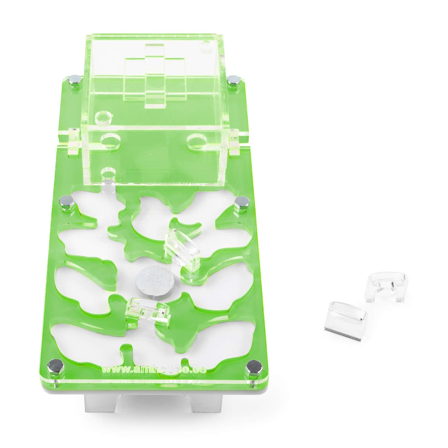 AntHouse - Formicaio Acrilico NaturColor 20x10x1cm - con Sistema di umidità Fungo (Formiche Incluse) - Verde