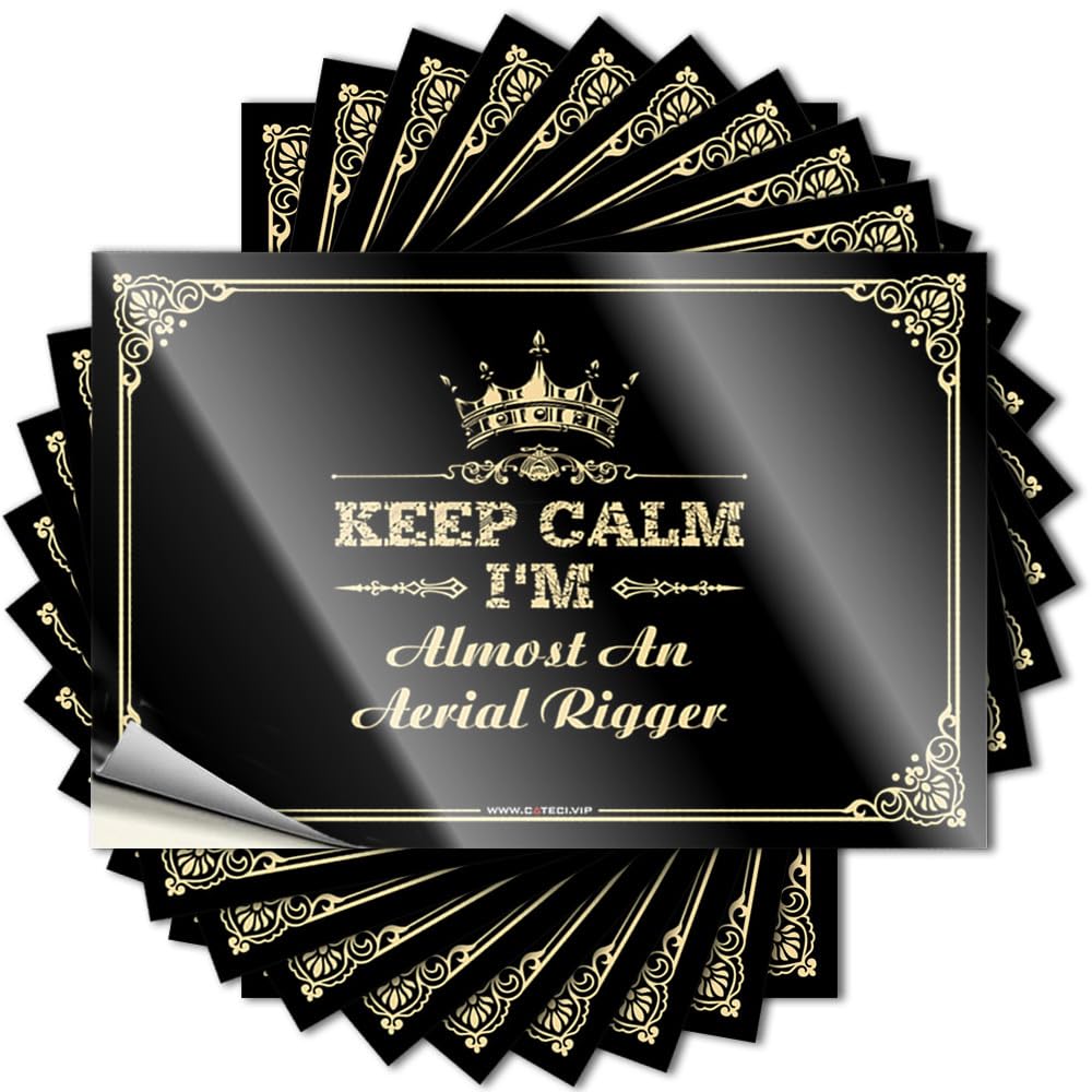 Bar Room Decor, Saying Funny Accessories Quote Stickers, Badass No Residue Decals for Luggage | Scooter Party Favor Custom Keep Calm I'm Almost an Aerial Rigger(12X18CM)