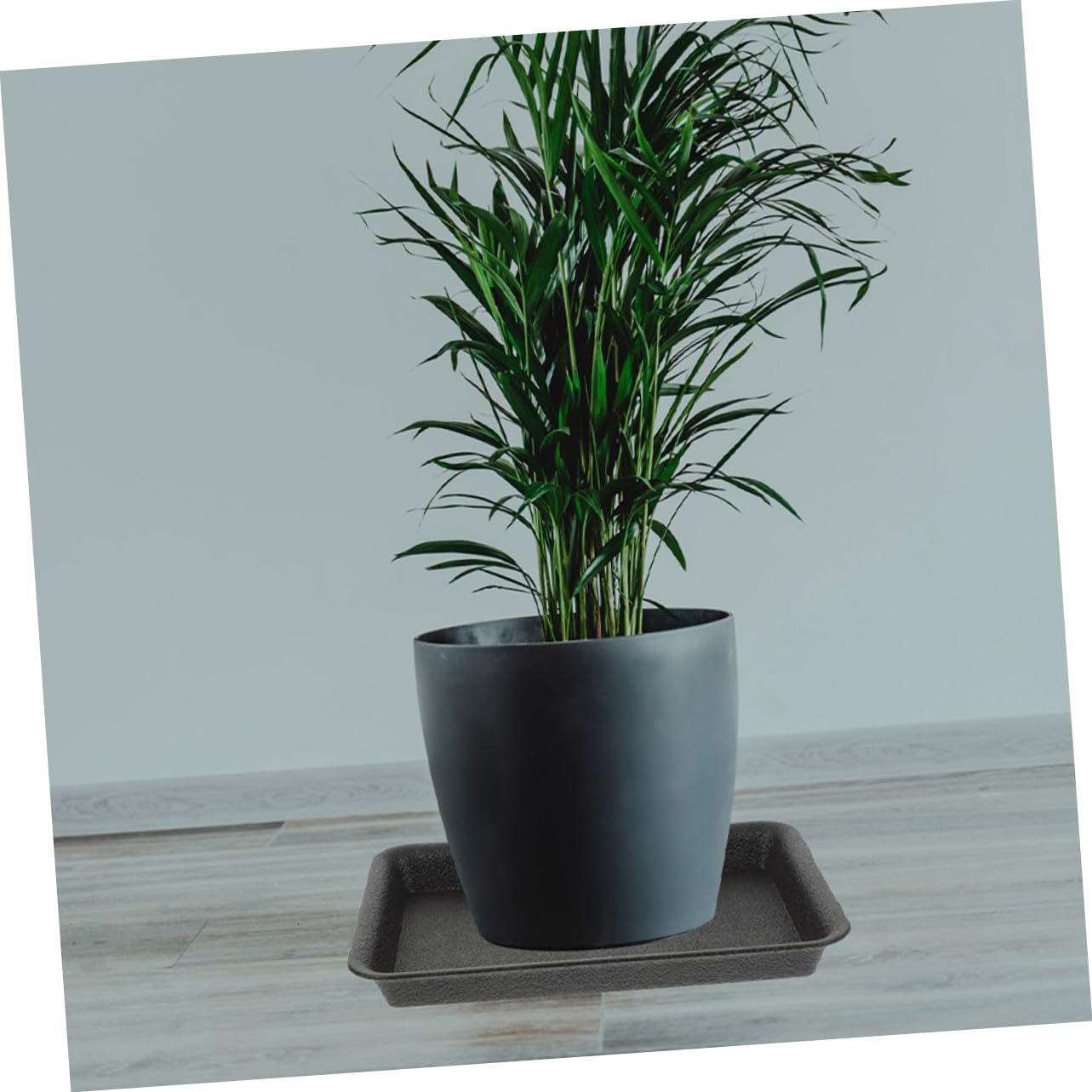 8piezas Bandeja para Macetas Rectangular de Plástico Bandejas para Plantas para Agua Platillos Reutilizables para Bonsái para Jardineras Uso Interiores y Exteriores