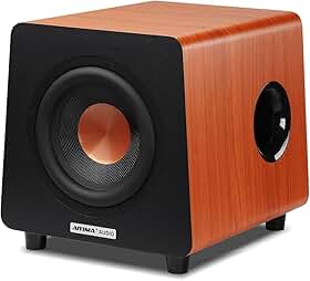 AIYIMA Subwoofer alimentado por 800 x 20 cm, graves incrivelmente profundos e subwoofer alimentado por subwoofer amplificador de alto-falante para home theater, entradas RCA/AUX/LFE