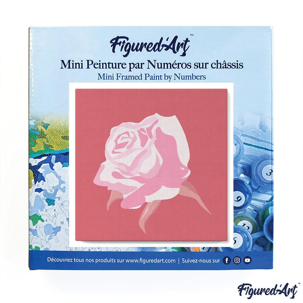 Figured’Art Mini Peinture Par Numéro – Fleur D’églantier 20x20 Cm Avec Cadre – Kit Complet DIY – Détente Assurée