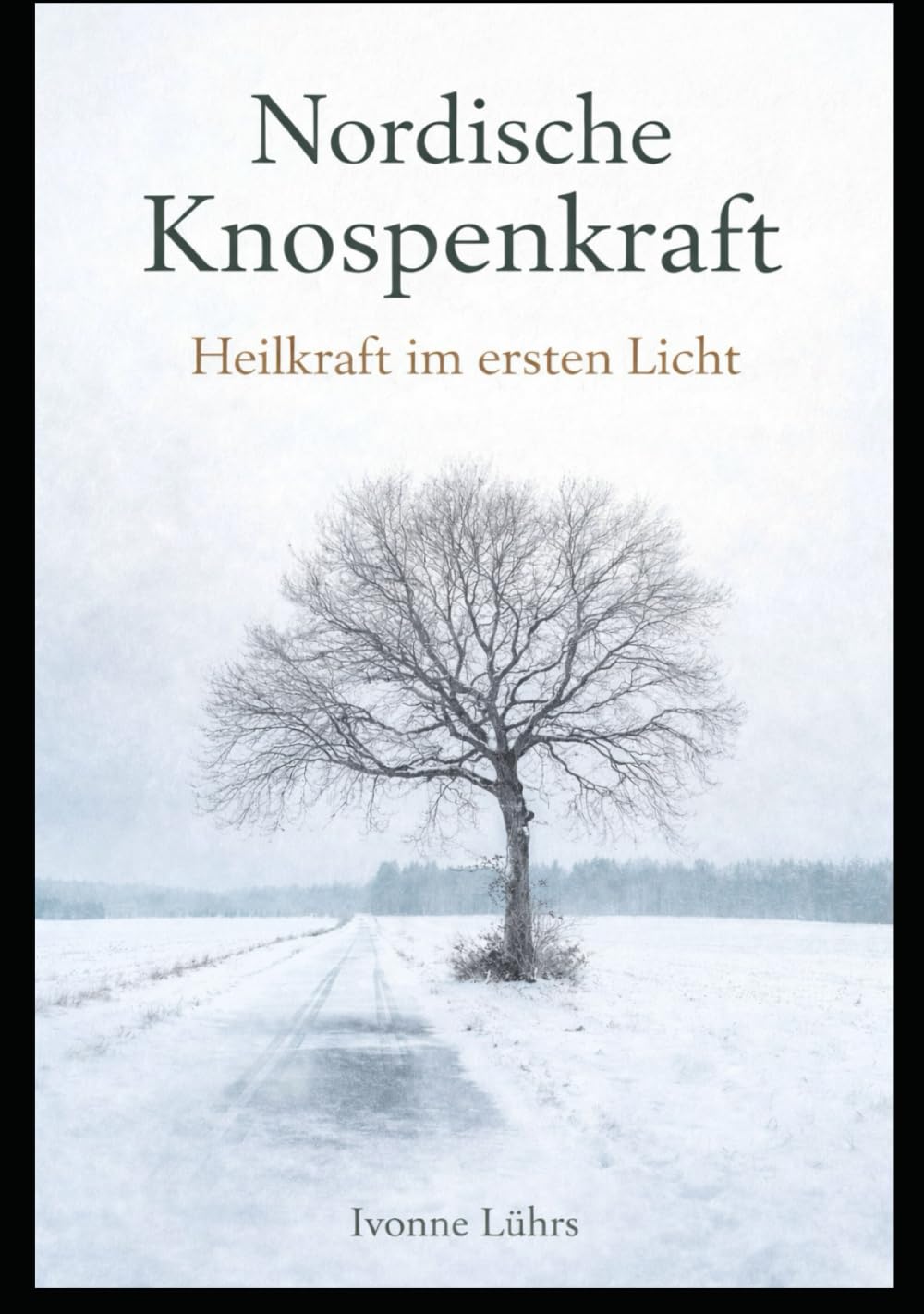 Nordische Knospenkraft: Heilkraft im ersten Licht