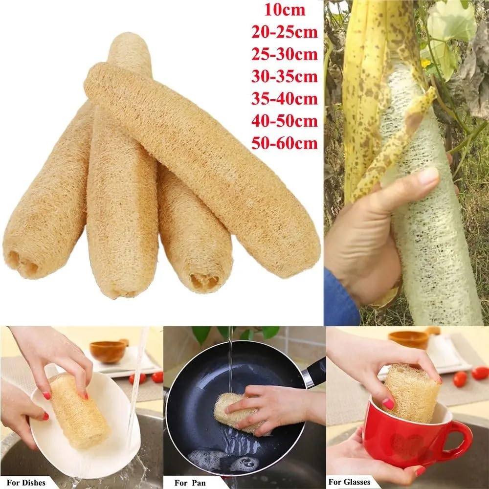 Éponge de luffa Naturelle, Longue Plantation, Douche corporelle, antiadhésive, Bonne Absorption, Serviette Vaisselle, Fourniture Cuisine et Bain(50-60cm)