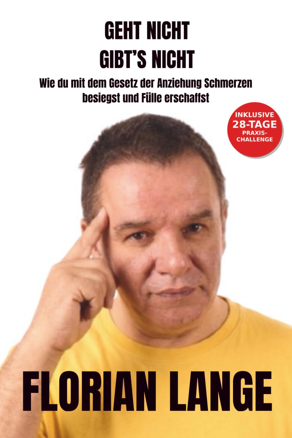 Geht nicht, gibt's nicht: Wie du mit dem Gesetz der Anziehung Schmerzen besiegst und Fülle erschaffst.