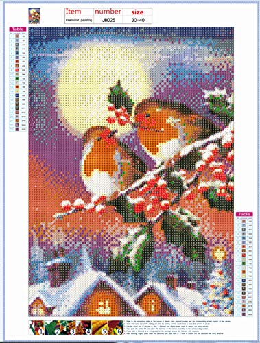 Kit per Diamond Painting 5D Fai da Te con i Numeri...