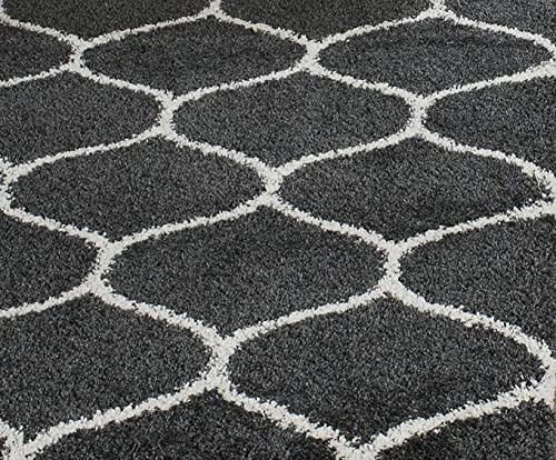 Image of Ultra-Soft Shaggy Carpet (4 X 6 FEET, Grey Ivory) Fluffy, Cozy & Durable Area Rug for Living Room, Bedroom & More ? Premium Modern Design