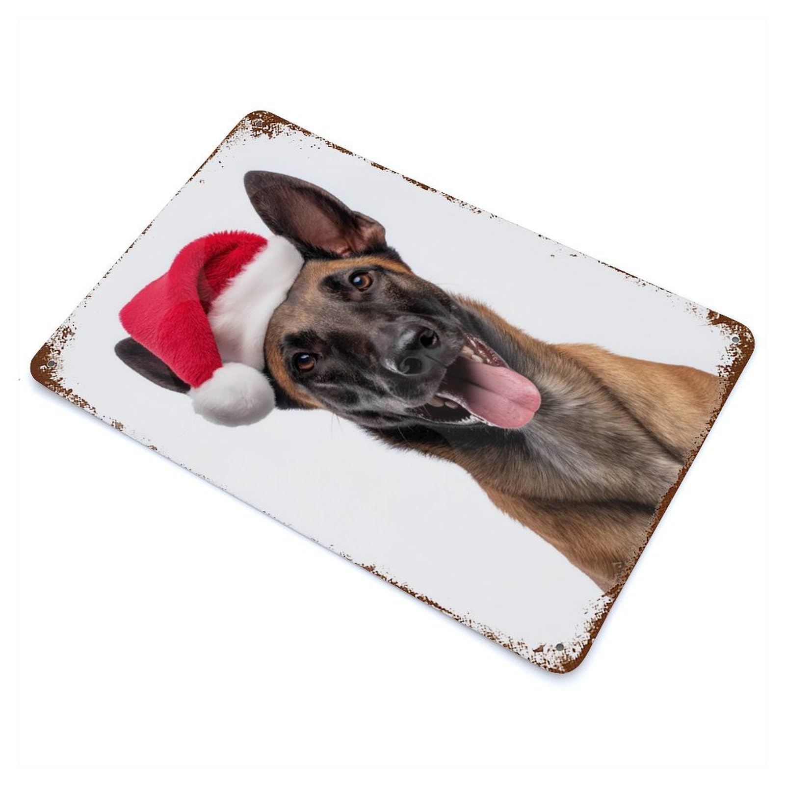 Retro Metal Sign with Belgian Malinois Dog with Santa Hat Portrait Design 11.8"x7.9", for Living Room, Hallway And Home Decor, Farmhouse Wall Decor