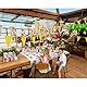 20 Servietten * WILD ANIMALS * für Kindergeburtstag und Zoo-Party | Wilde Tiere Safari Kinder Geburtstag Party Papierservietten Napkins