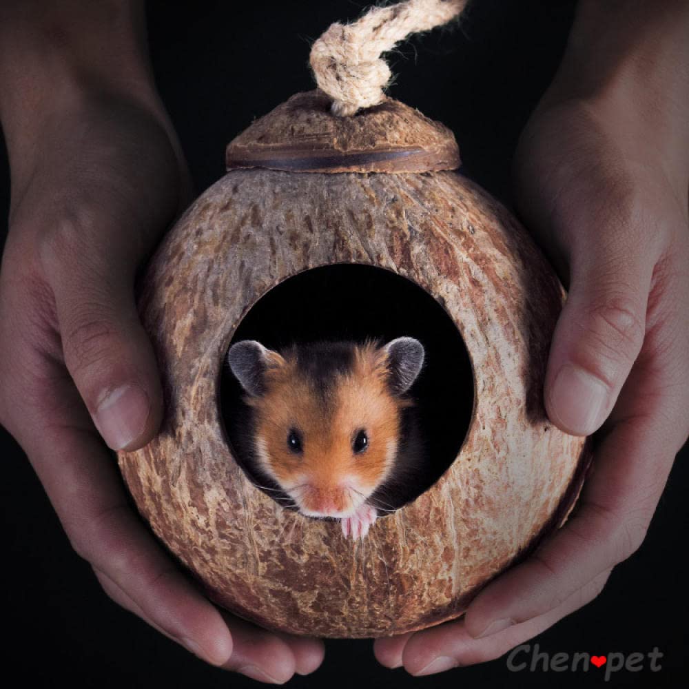 Hamster Hängematte Kleine Haustier Kokosnuss Käfige Haustier Käfig for Hamster Meerschweinchen Eichhörnchen Holz Haus,Vogelnester(A)