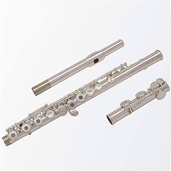 フルート 本体 メッキ ケース付き 61L1M7oZC1L._UF350,350_QL80_.jpg