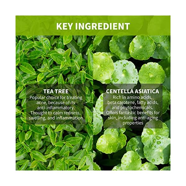 iUNIK-Tea-tree-Relief-Natural-Facial-Serum-171-Fl-Oz-Acne-Treatment-Serum-Ampoule-Clear-Skin--Face-Serum-for-Acne-Breakout-Pimple-Tea-Tree-67-Centella-Asiatica IUNIK Tea Tree 67% Relief Vegan Facial Serum - Non-Sticky | Clear & Balanced Skin w/Centella Asiatica 19% for Soothing Calming Irritated & Acne-prone Skin Ampoule Korean Skincare