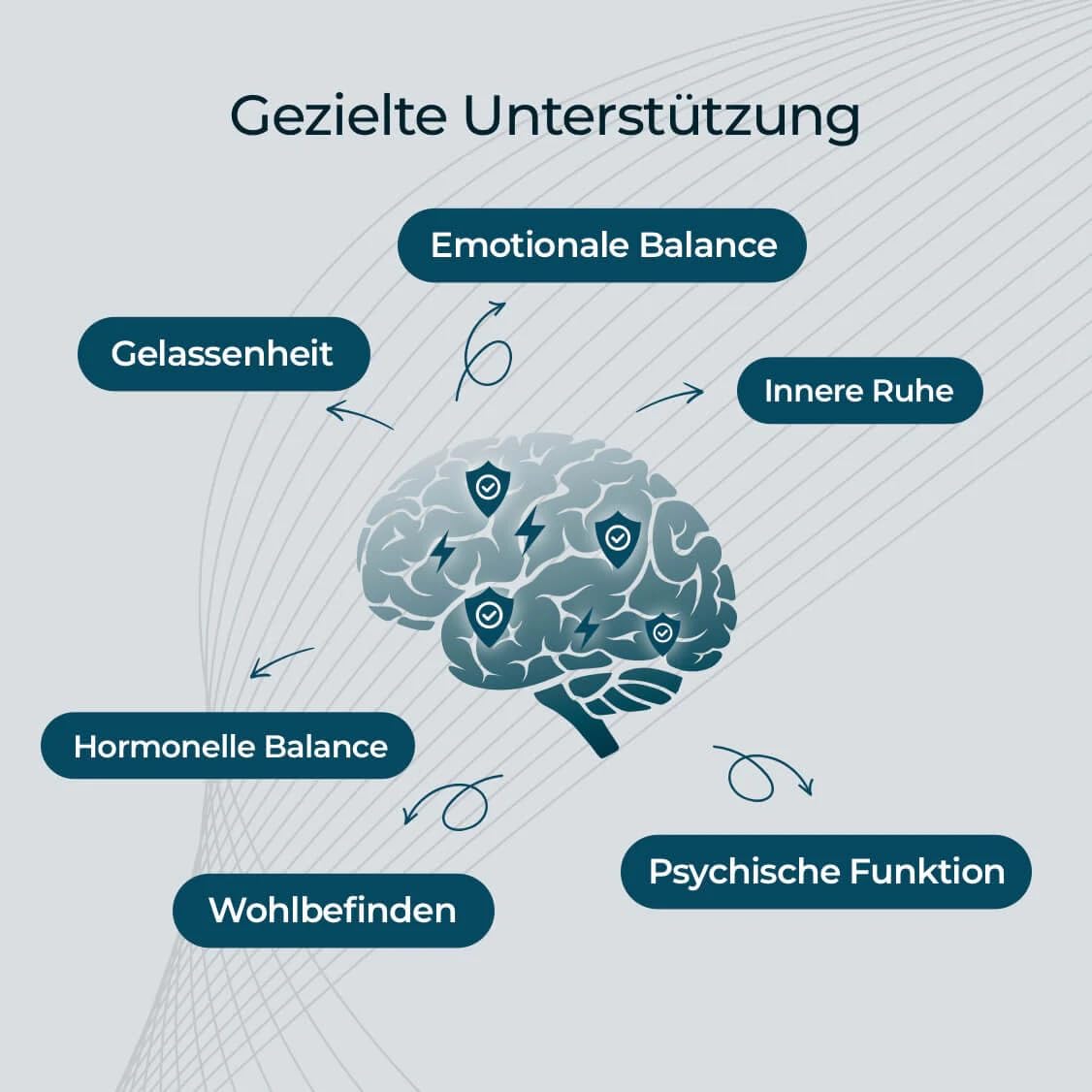 Lumiprovin – Kapseln 60 Stück – 3-Stufen-Formel mit Citicolin Magnesium,Safran & 5-HTP – mit Vitamin B1, B6, B12, Zink, Folsäure – 2 Kapseln täglich I Kann psychische Funktion unterstützen
