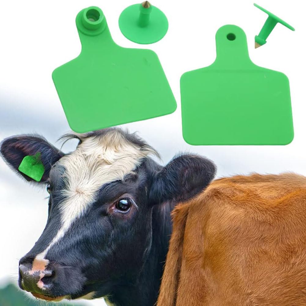 Plastikowe kolczyki dla bydła, wielokolorowe puste zawieszki do uszu dla bydła 6 x 7,5 cm, opakowanie 100 szt. (czerwony, 100 szt.)
