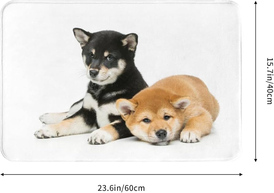 Amazon | Zateem マット おしゃれ バスマット 玄関マット