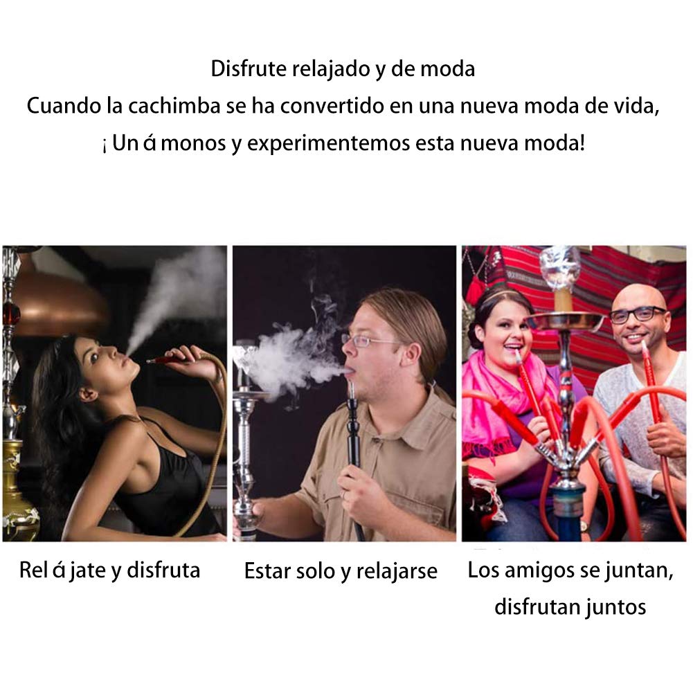 Cachimba Shisha Hookah Set, con Jarrón de Vidrio 2 Manguera de Silicona con Boquilla Y Cuenco para el Mejor Juego Completo de Hookahs para Fumar,4 Hose
