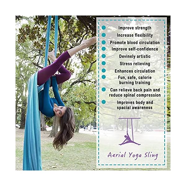WWahuayuan-10M-Premium-Aerial-Silks-Equipment-Yoga-Pilates-Swing-Aerial-Yoga-Antigravity-Hammock-Trapeze-for-Acrobatic-DanceAir-Yoga-Aerial-Yoga-Hammock WWahuayuan 10M Premium Aerial Silks Equipment Yoga Pilates Swing Aerial Yoga Antigravity Hammock Trapeze for Acrobatic Dance,Air Yoga, Aerial Yoga Hammock (Blue)